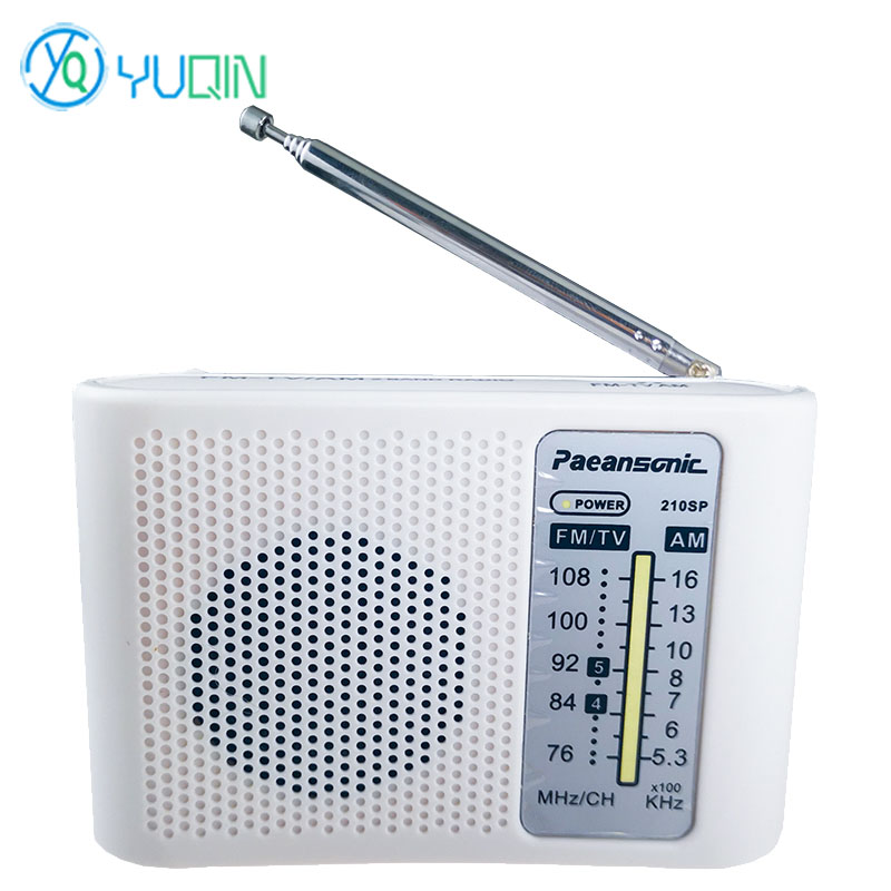 210SP AM/FM Radio Kit DIY Elec - Diy Electronics Projects For Adults 评论和价格
